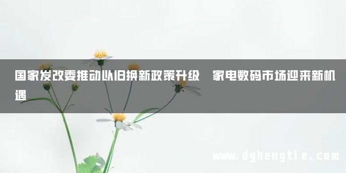 国家发改委推动以旧换新政策升级 家电数码市场迎来新机遇